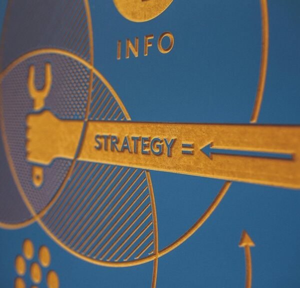 enterprise insight vault details