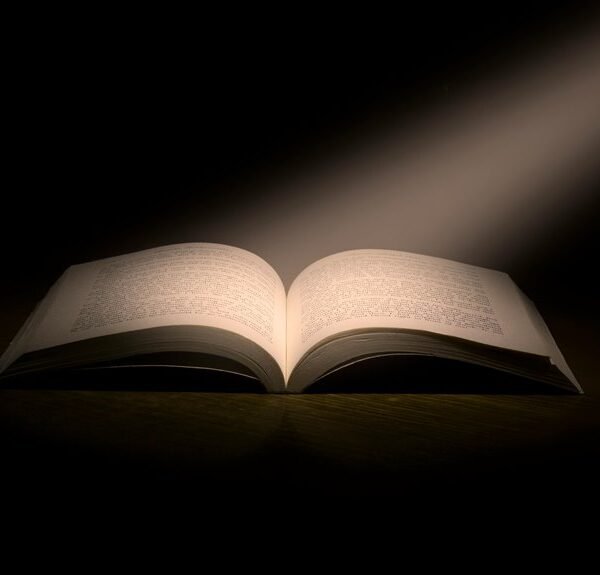 operational insight tracker report