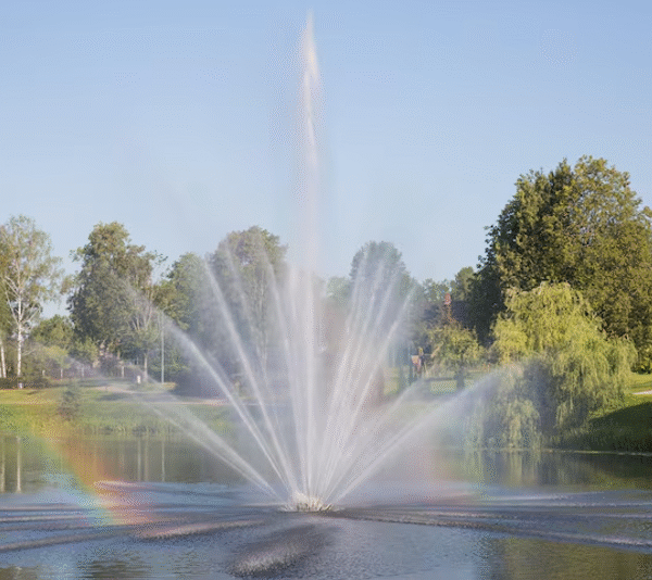DIY vs. Hiring a Fountain Tech Company: Which is Right for Your Pond?