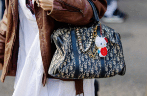 The Evolution and Appeal of Everyday Luxury Bags