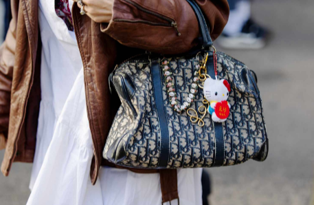 The Evolution and Appeal of Everyday Luxury Bags