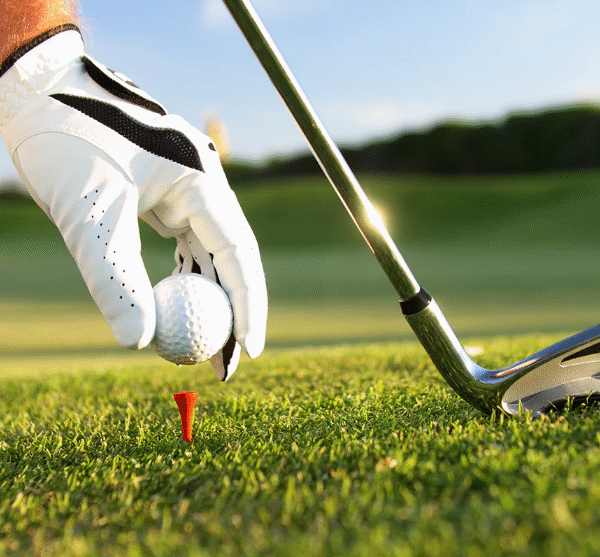 How a Premium Glove Holder Changes the Course of a Golf Game